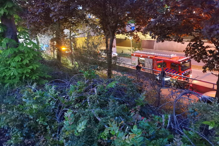 Geldkisje gevonden bij brand in bosschage