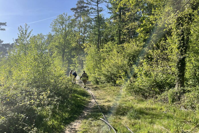 Brand in bosperceel snel geblust