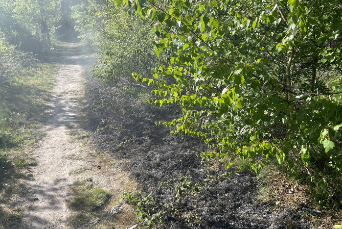 Brand in bosperceel snel geblust
