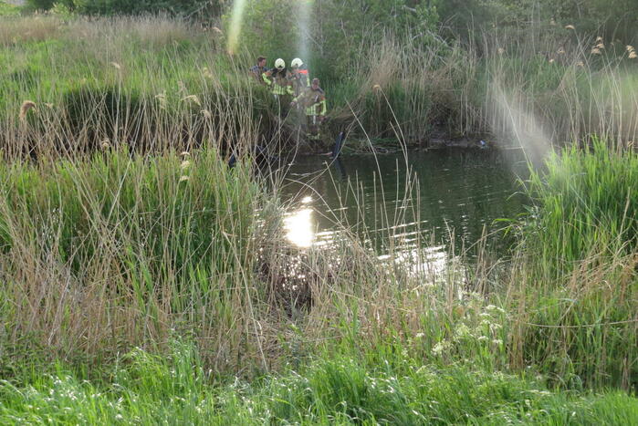 Auto belandt in sloot