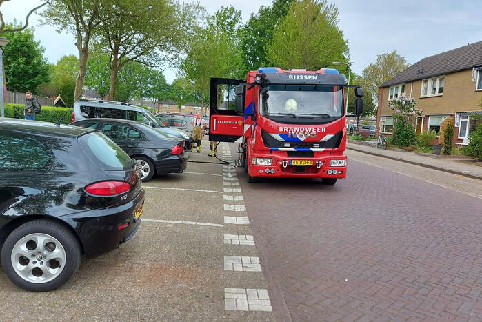 Brand in coniferenhaag snel geblust