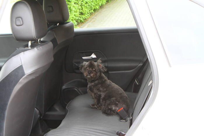 Woning ontruimd vanwege gaslucht