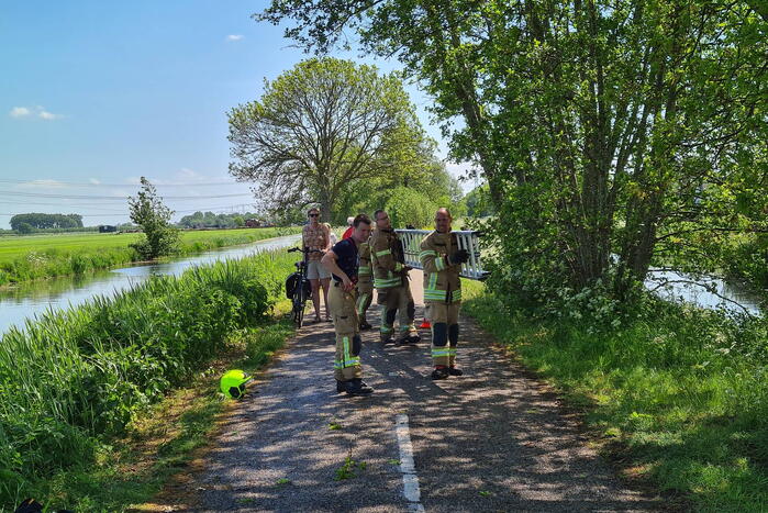 Brandweer probeert kat uit boom te redden