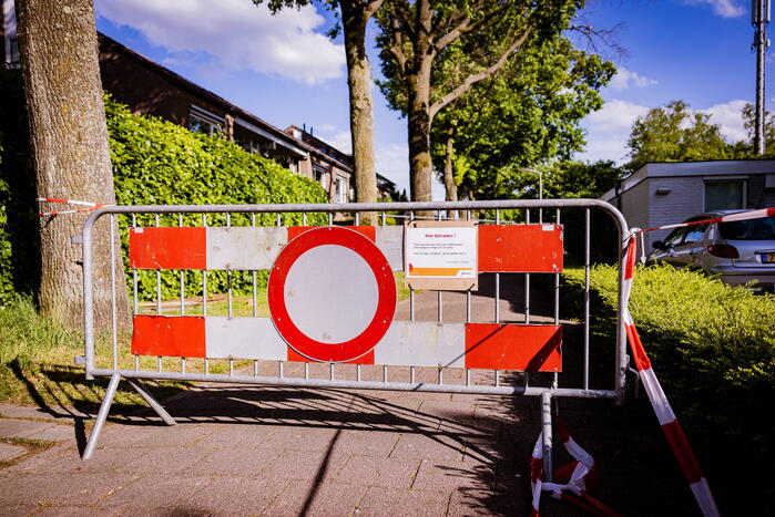 Monumentale eikenbomen onherstelbaar beschadigd