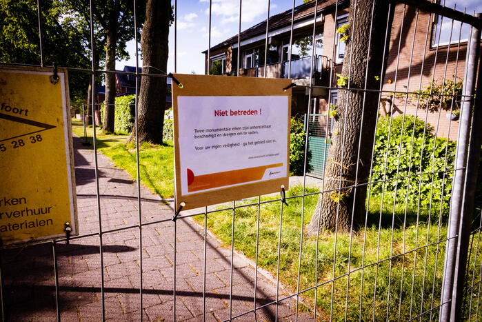 Monumentale eikenbomen onherstelbaar beschadigd