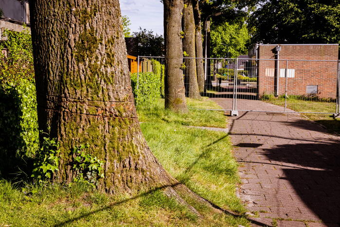 Monumentale eikenbomen onherstelbaar beschadigd