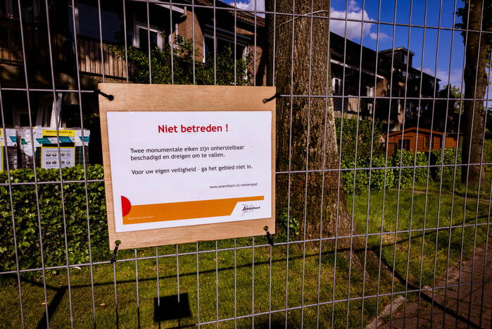 Monumentale eikenbomen onherstelbaar beschadigd