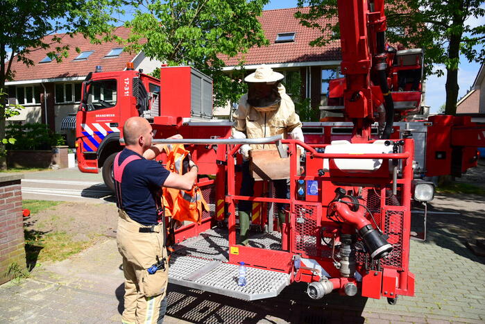 Brandweer ingezet voor verwijderen groot bijennest