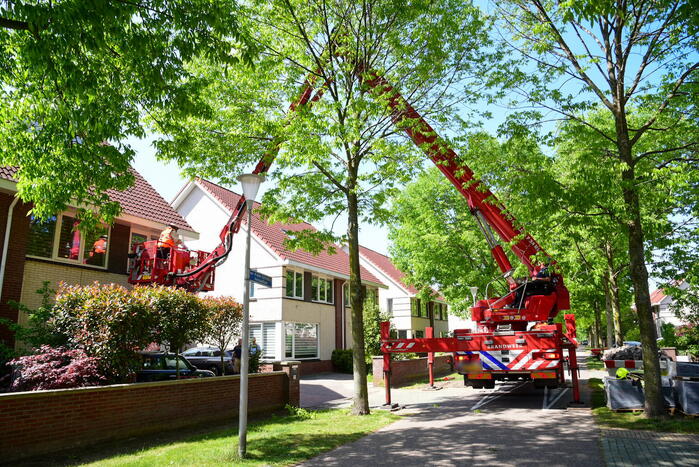 Brandweer ingezet voor verwijderen groot bijennest