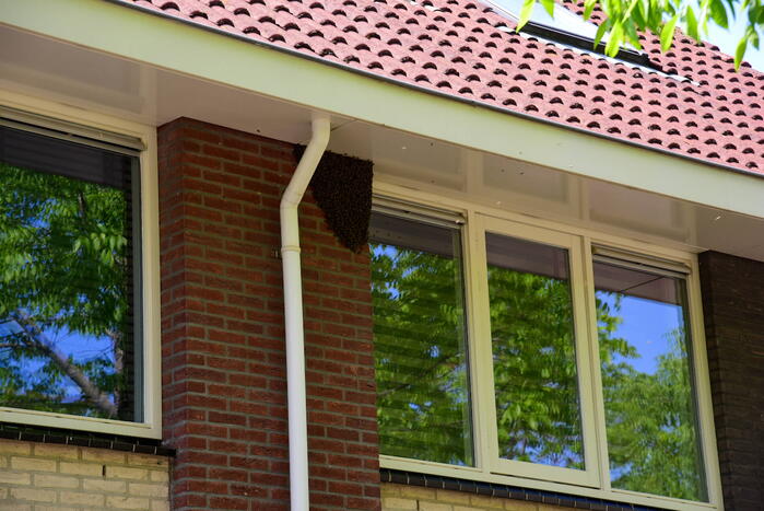 Brandweer ingezet voor verwijderen groot bijennest