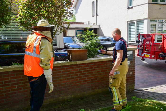 Brandweer ingezet voor verwijderen groot bijennest