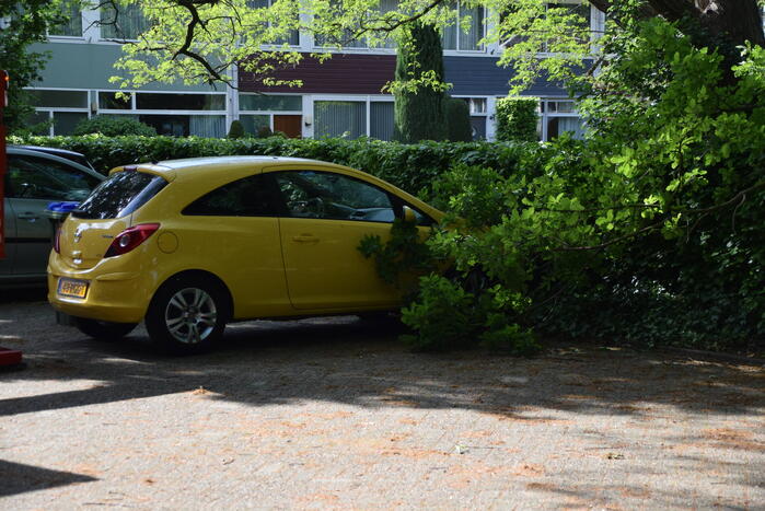Tak valt op geparkeerde auto
