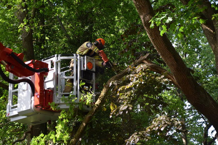 Tak valt op geparkeerde auto