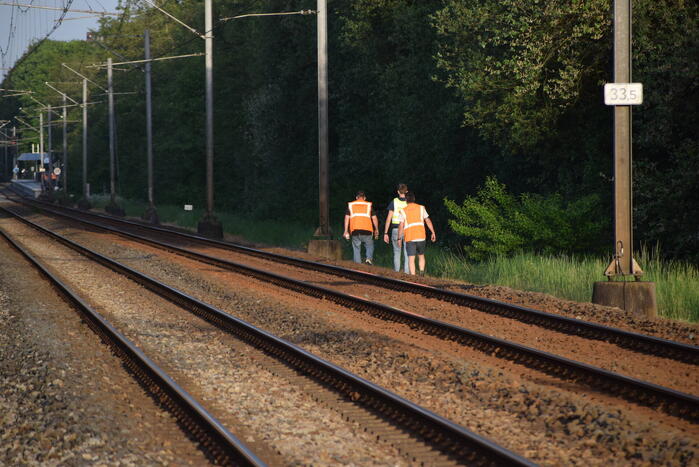 Reddingsactie vermiste hond zorgt voor vertraging treinen