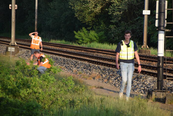 Reddingsactie vermiste hond zorgt voor vertraging treinen