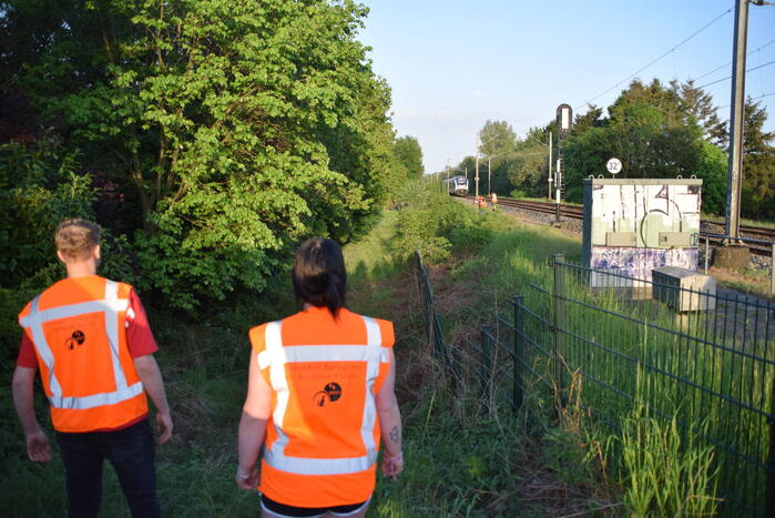 Reddingsactie vermiste hond zorgt voor vertraging treinen