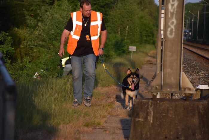 Reddingsactie vermiste hond zorgt voor vertraging treinen