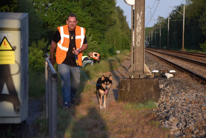 Reddingsactie vermiste hond zorgt voor vertraging treinen
