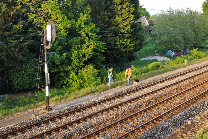 Reddingsactie vermiste hond zorgt voor vertraging treinen