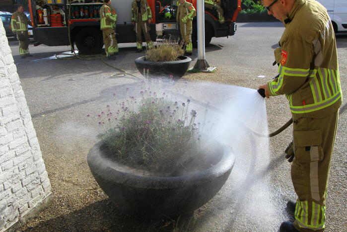 Bloembak met lavendel vliegt in brand