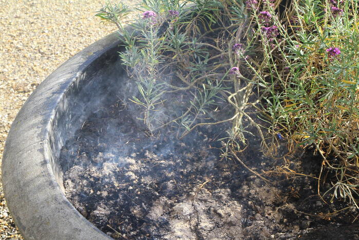 Bloembak met lavendel vliegt in brand