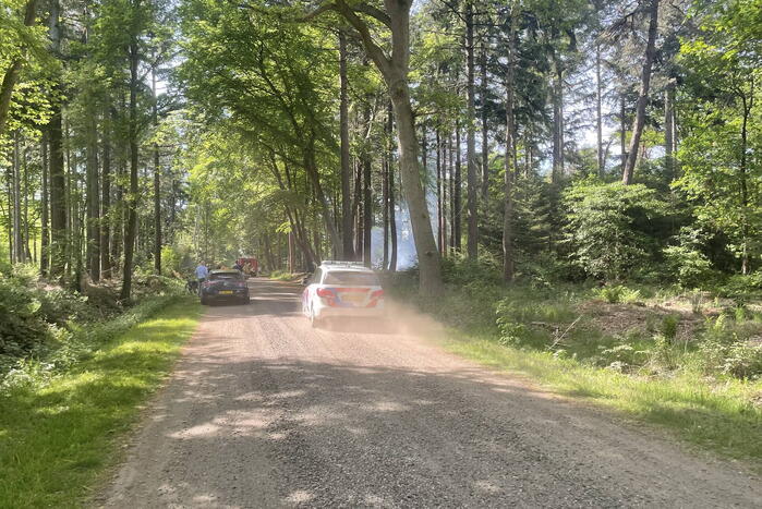 Brand in natuurgebied snel onder controle