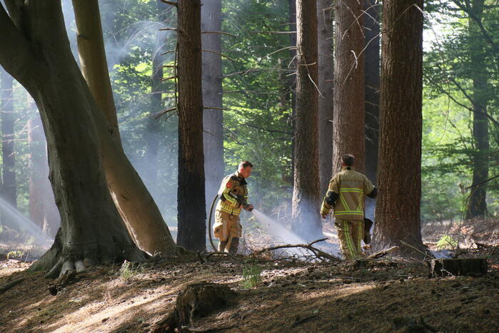 Brand in natuurgebied snel onder controle