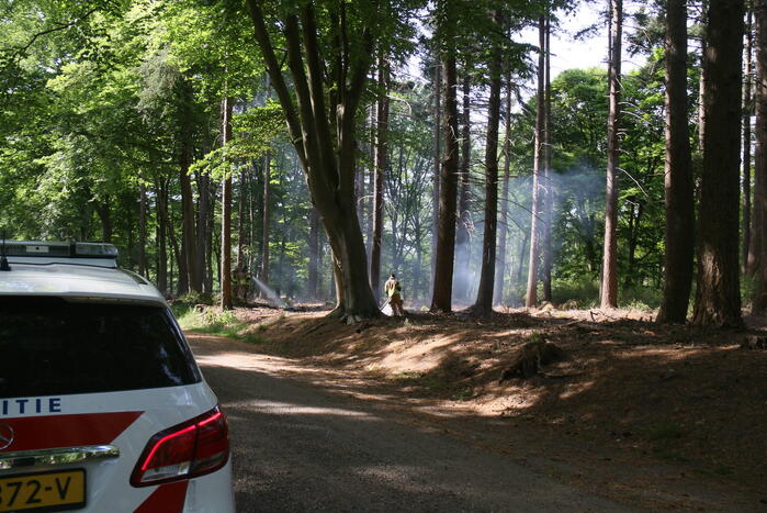 Brand in natuurgebied snel onder controle
