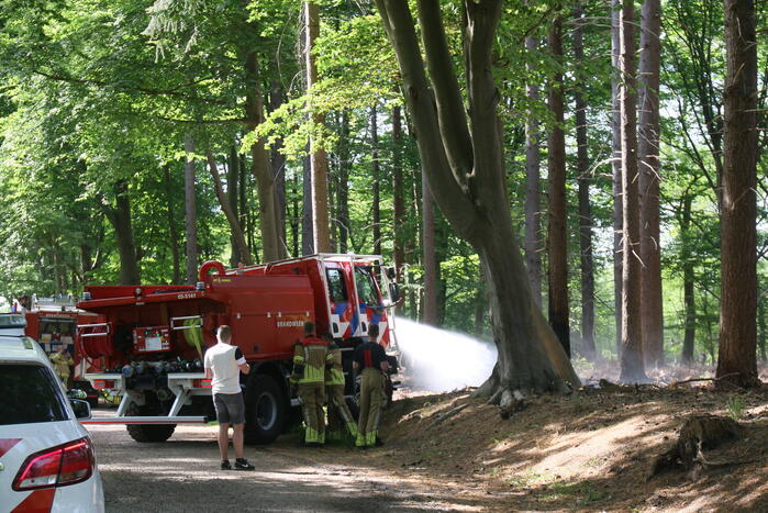 Brand in natuurgebied snel onder controle