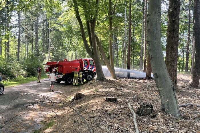Brand in natuurgebied snel onder controle