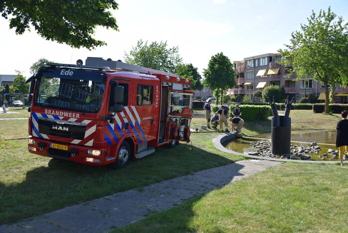 Brandweer pompt fontein leeg