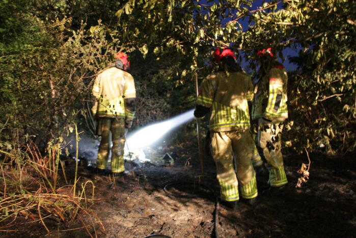 Bosbrand ontstaan door kampvuur