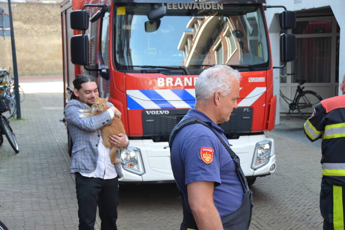 Brandweer bevrijdt kat