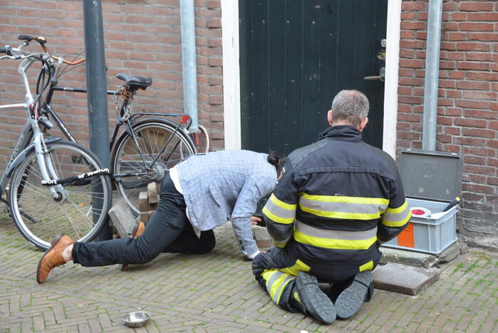 Brandweer bevrijdt kat