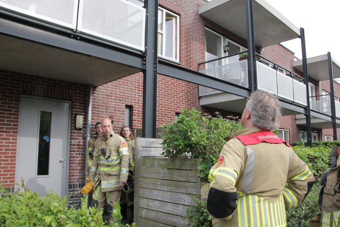 Mus vast in balkonrailing