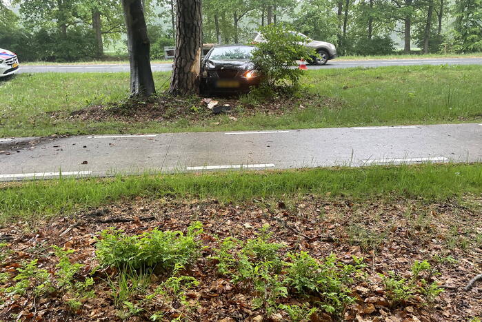 Veel schade bij botsing tegen boom