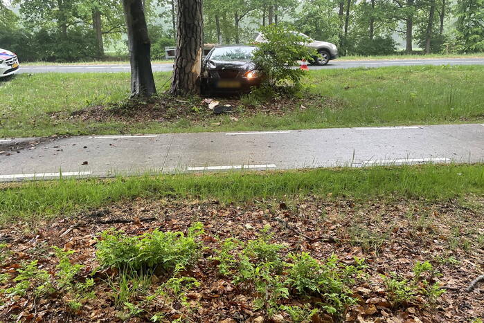 Veel schade bij botsing tegen boom