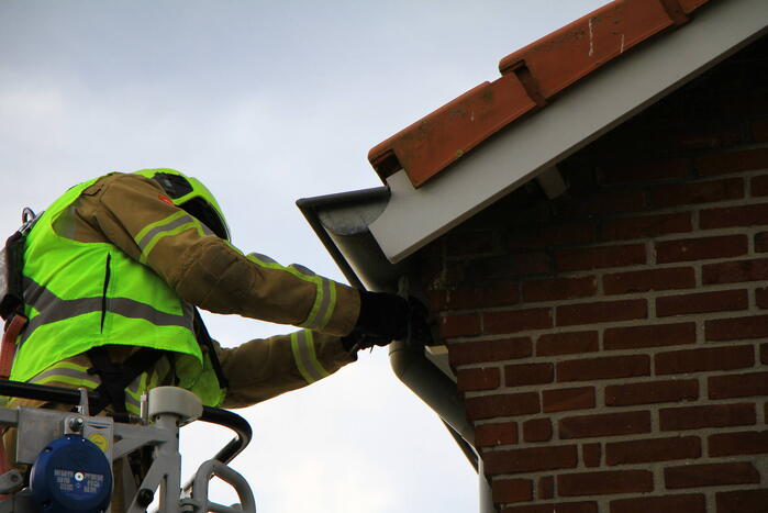 Brandweer bevrijdt zwaluw uit dakgoot