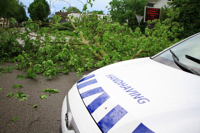 Straat afgezet na val enorme tak