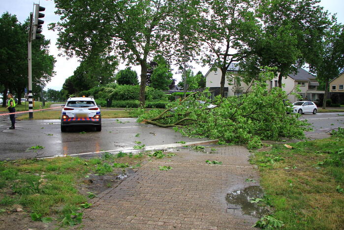 Straat afgezet na val enorme tak