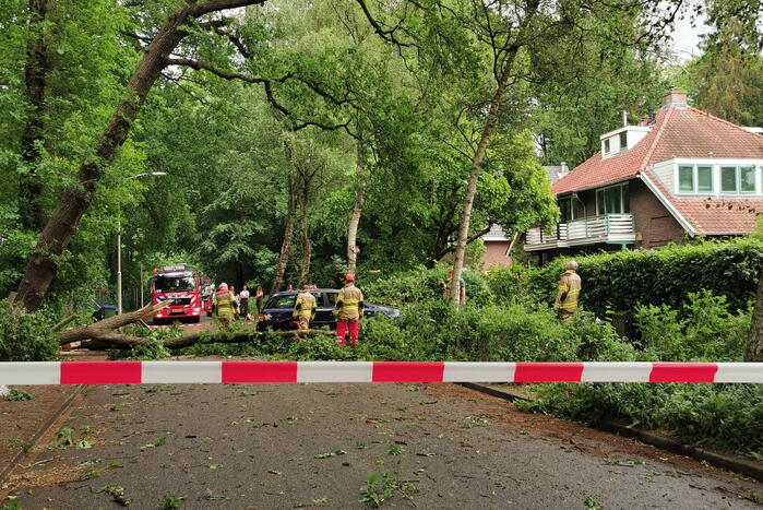 Grote boom waait over de weg