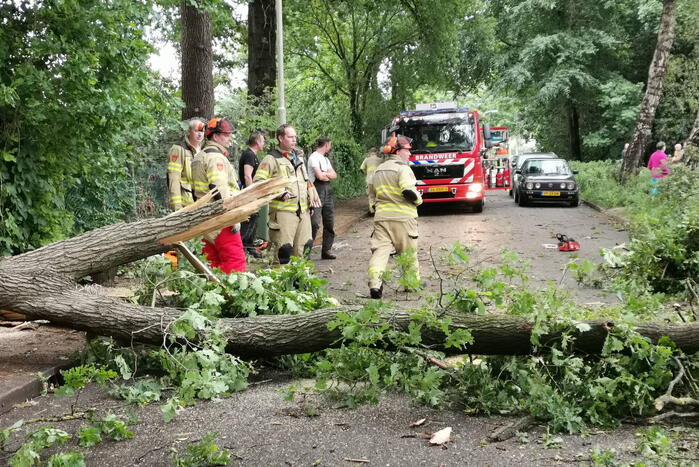 Grote boom waait over de weg