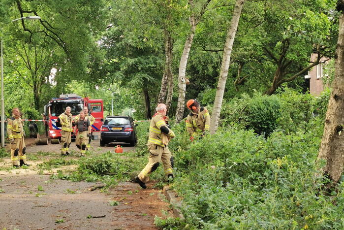 Grote boom waait over de weg