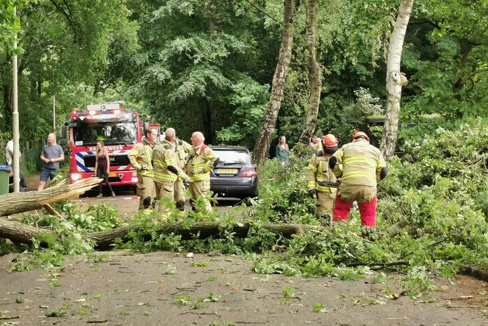 Grote boom waait over de weg