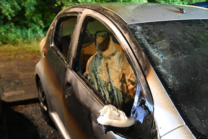 Geparkeerd staande auto verwoest vanwege brand