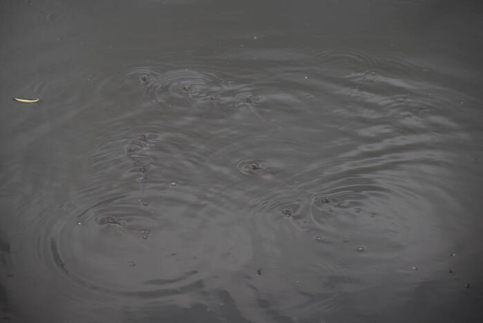 Vijver ziekenhuis Gelderse Vallei wordt voorzien van lucht