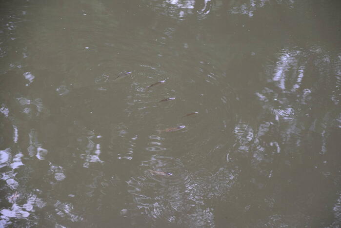 Vijver ziekenhuis Gelderse Vallei wordt voorzien van lucht