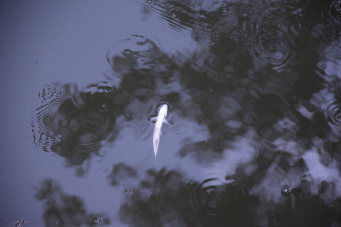 Vijver ziekenhuis Gelderse Vallei wordt voorzien van lucht