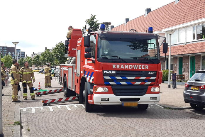 Verzwakte zwaan door brandweer bevrijdt van dakkapel