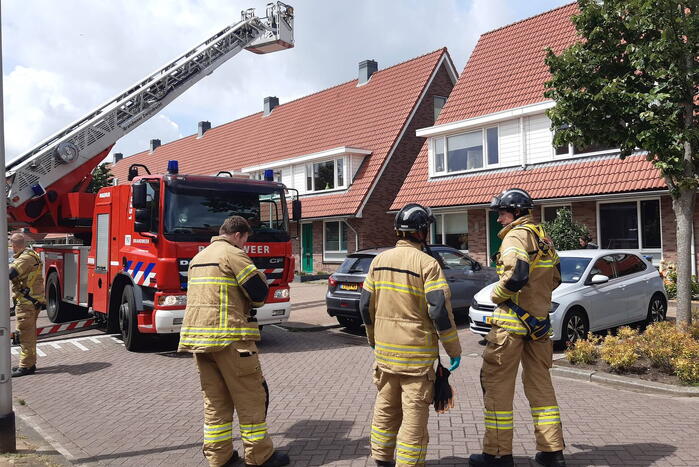 Verzwakte zwaan door brandweer bevrijdt van dakkapel